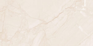 Ceramic.md 30x60 Trial Light Beige