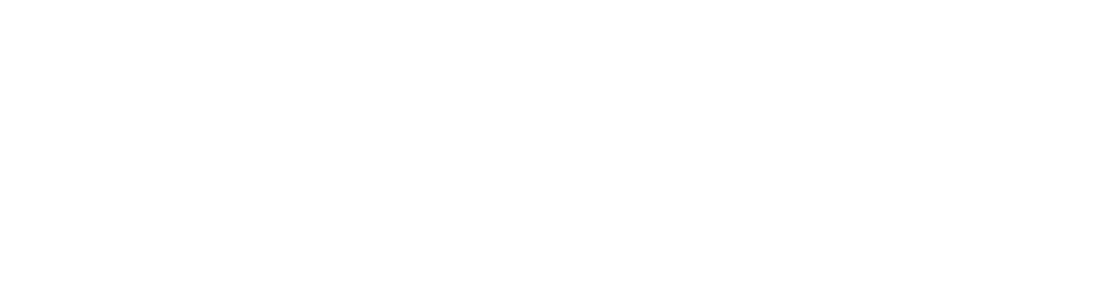 Webbiko.de Logo