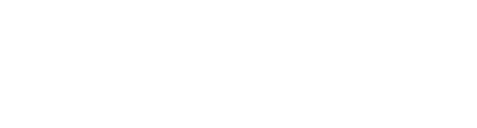Webbiko.de Logo